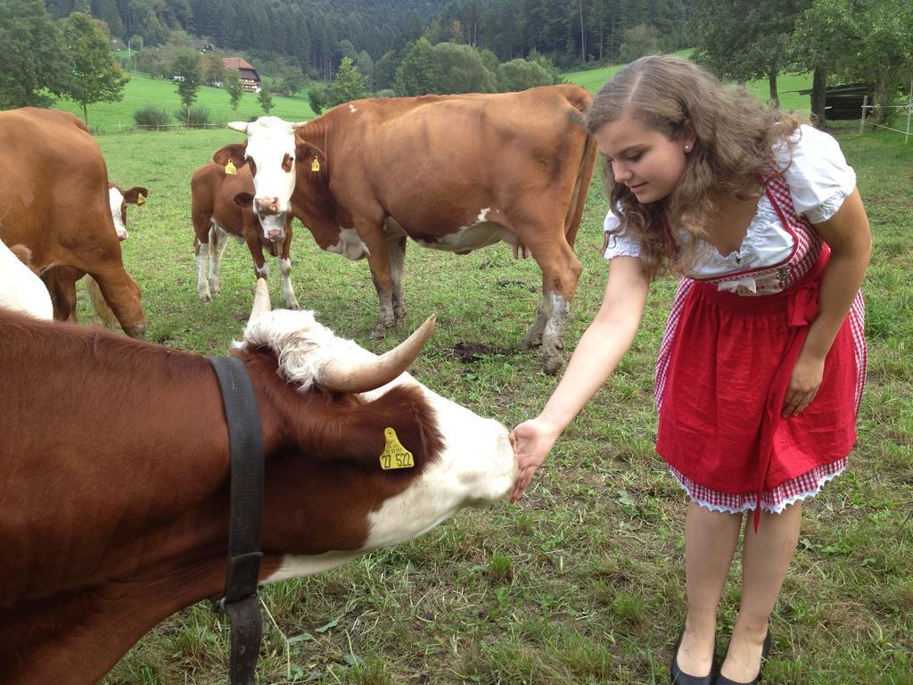 Mattenhof Zell am Harmersbach Ngoại thất bức ảnh