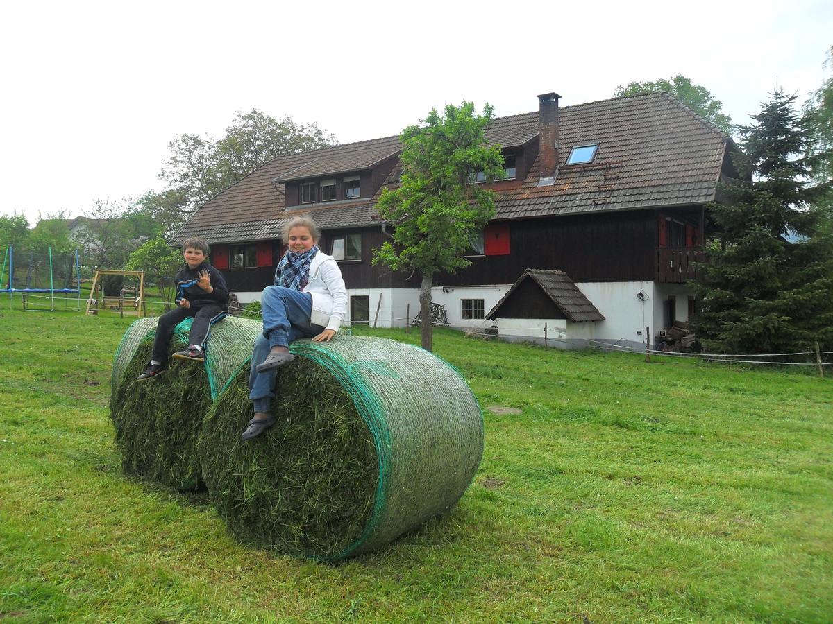 Mattenhof Zell am Harmersbach Ngoại thất bức ảnh