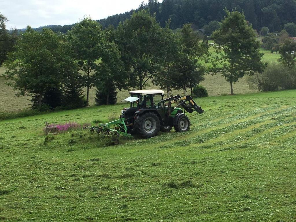 Mattenhof Zell am Harmersbach Ngoại thất bức ảnh