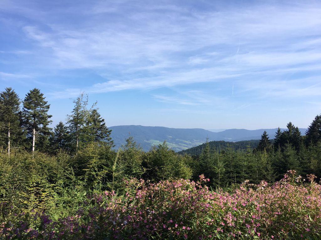 Mattenhof Zell am Harmersbach Ngoại thất bức ảnh