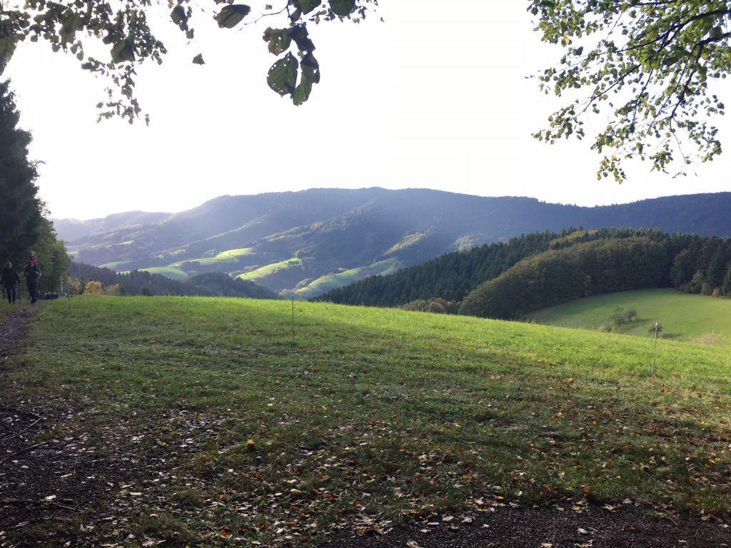 Mattenhof Zell am Harmersbach Ngoại thất bức ảnh